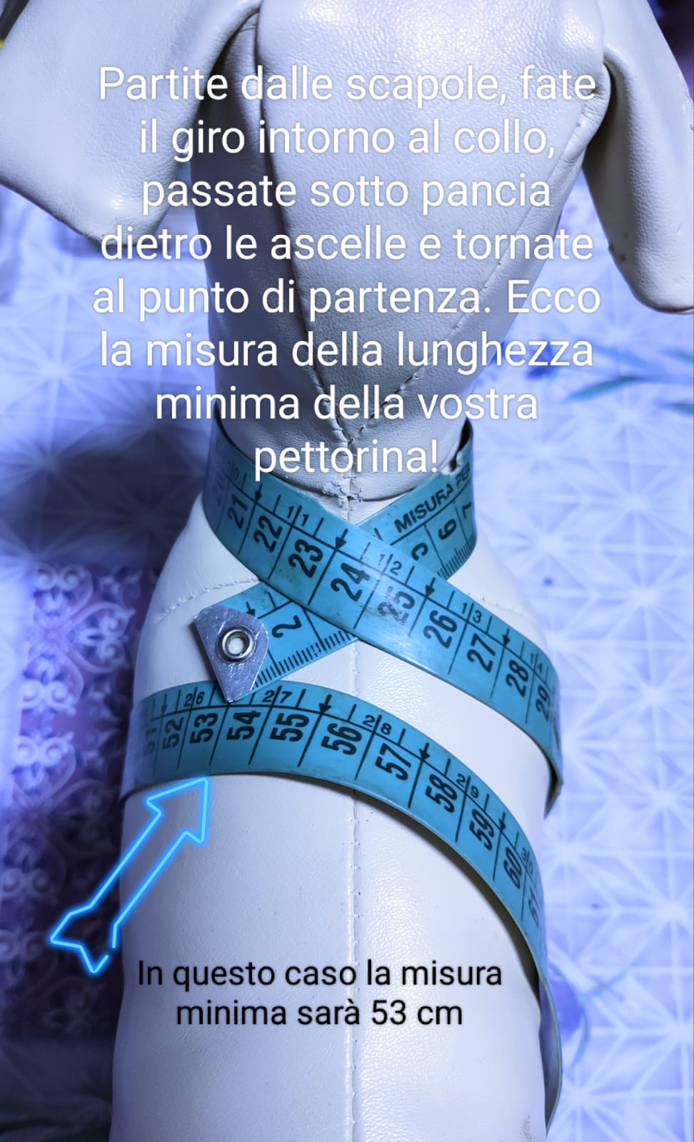 Set Pettorina in vera pelle con guinzaglio coordinato