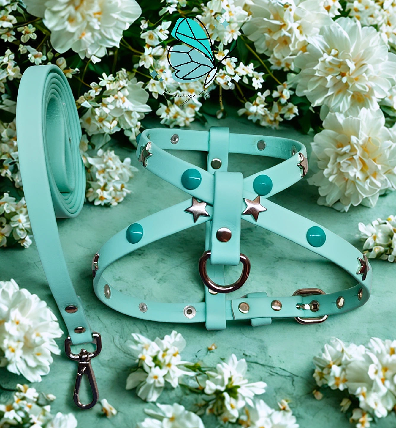 Set Pettorina in vera pelle con guinzaglio coordinato