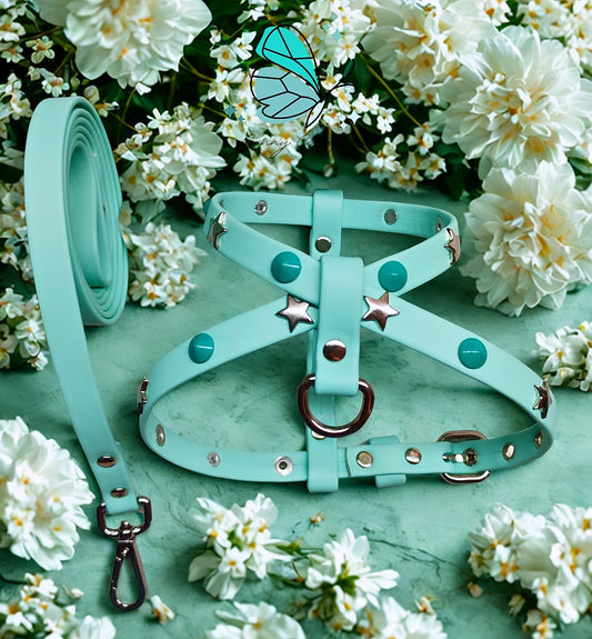 Set Pettorina in vera pelle con guinzaglio coordinato