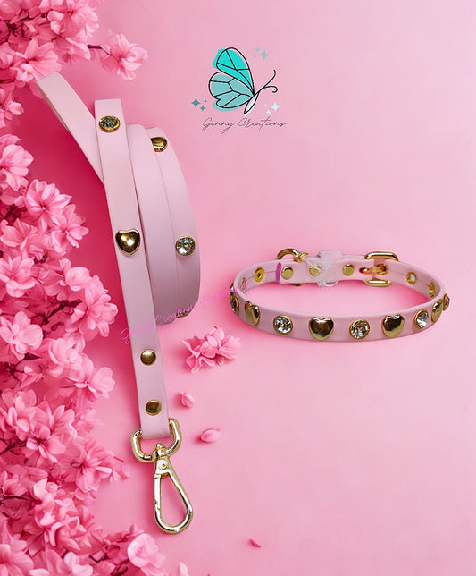 Set Collare in vera pelle con guinzaglio coordinato