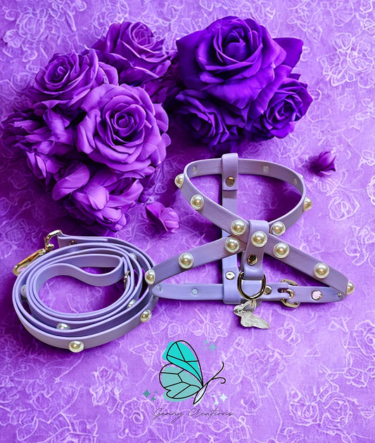 Set Pettorina in vera pelle con guinzaglio coordinato