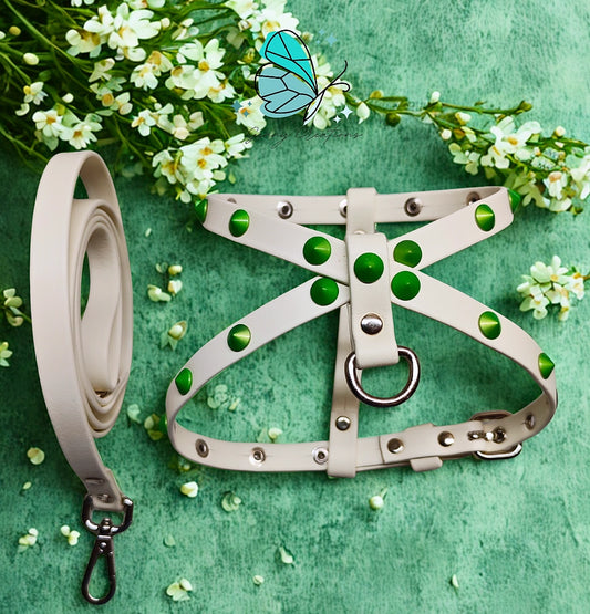Set Pettorina in vera pelle con guinzaglio coordinato