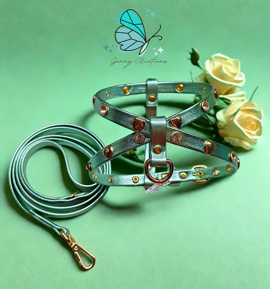Set Pettorina in vera pelle con guinzaglio coordinato