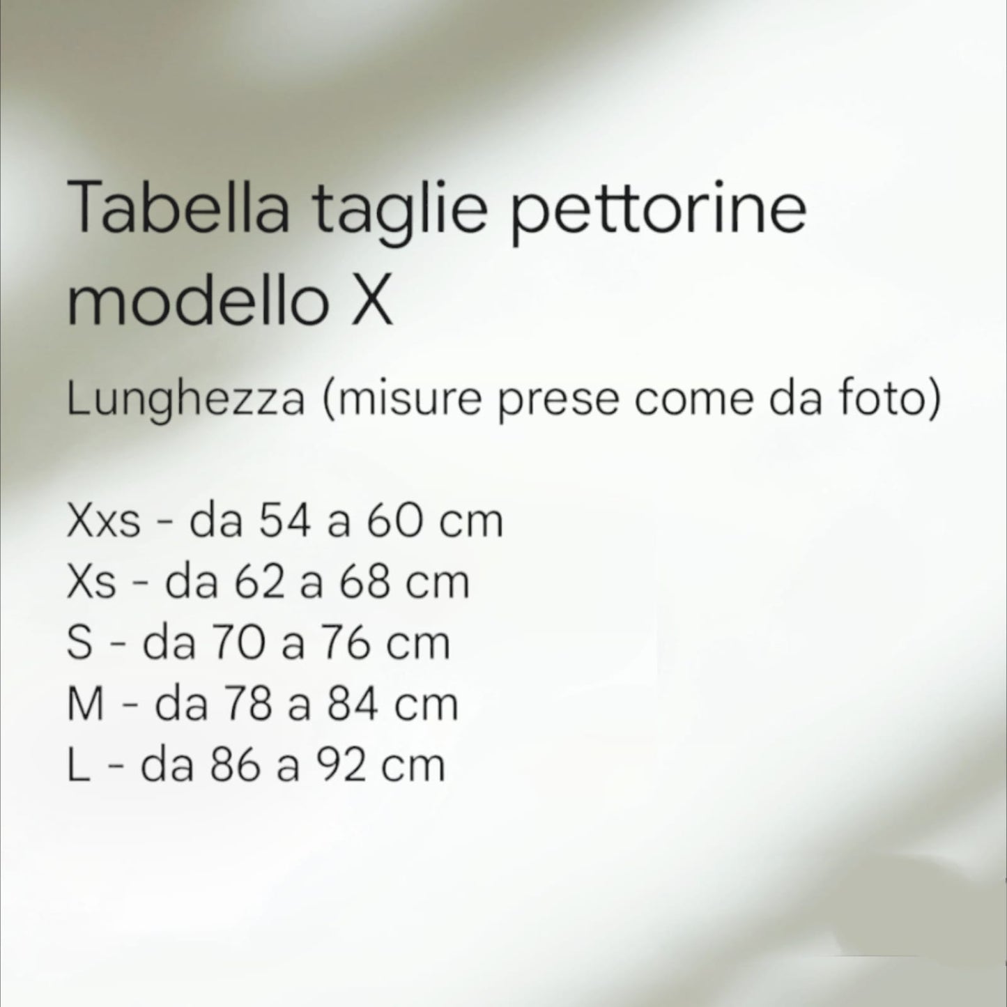 Set Pettorina in vera pelle con guinzaglio coordinato