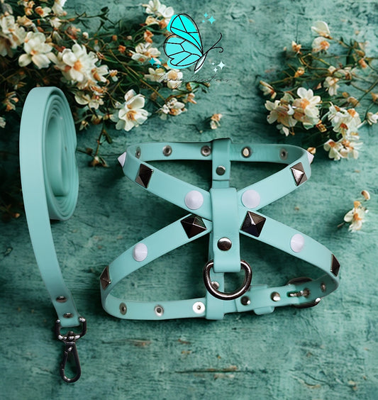 Set Pettorina in vera pelle con guinzaglio coordinato