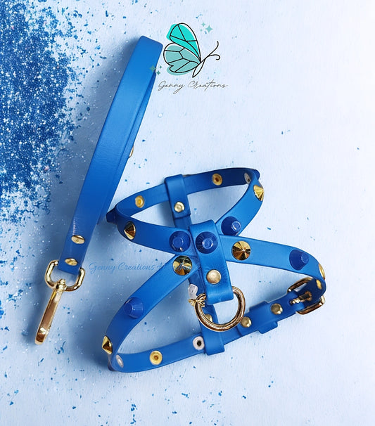 Set Pettorina in vera pelle con guinzaglio coordinato
