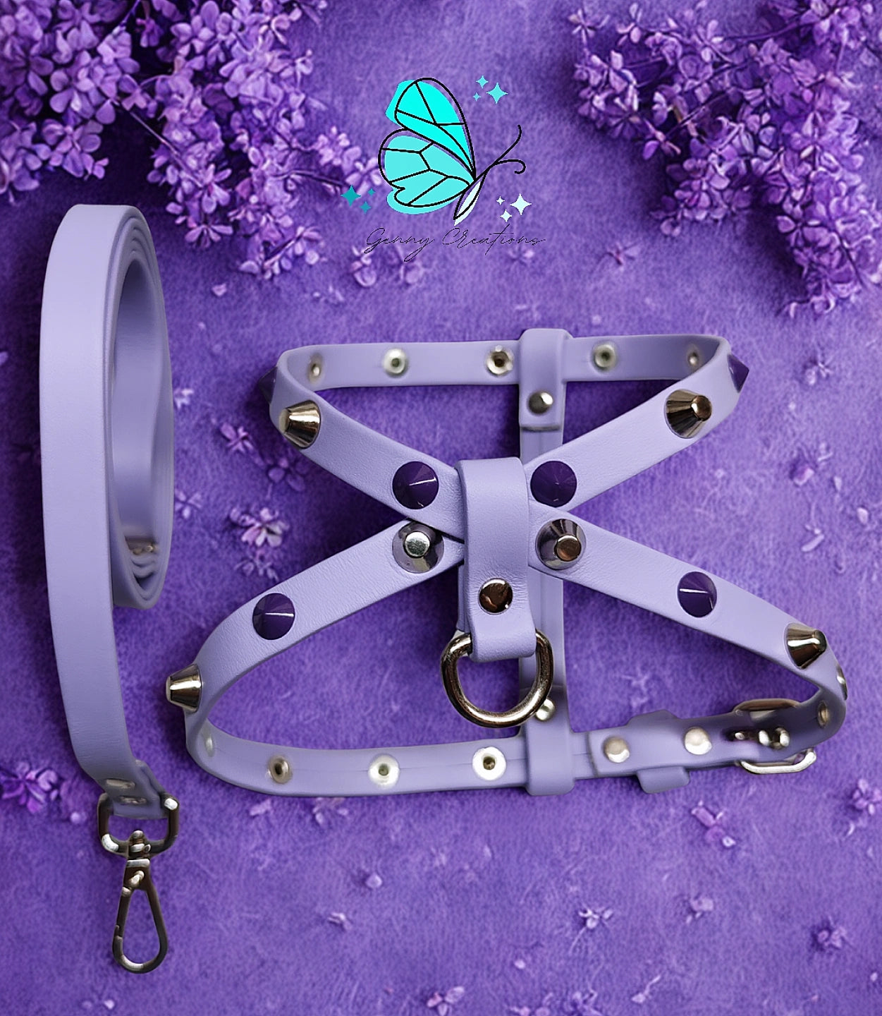 Set Pettorina in vera pelle con guinzaglio coordinato
