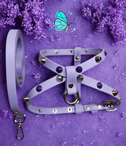 Set Pettorina in vera pelle con guinzaglio coordinato