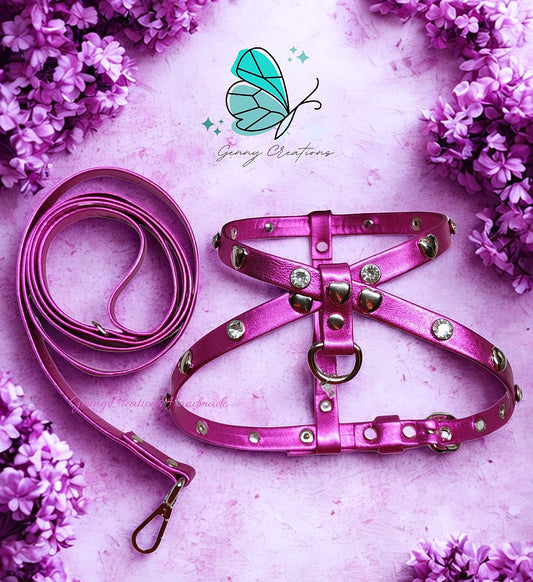 Set Pettorina in vera pelle con guinzaglio coordinato