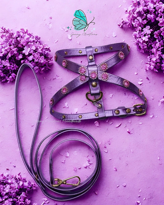 Set Pettorina in vera pelle con guinzaglio coordinato