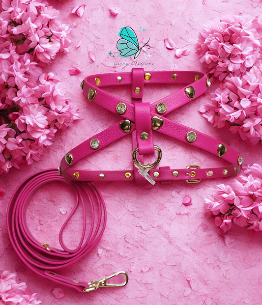 Set Pettorina in vera pelle con guinzaglio coordinato