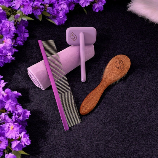 Z9- Essential grooming kit Ego Professional Grooming