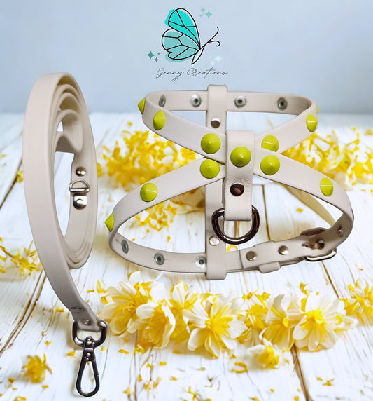 Set Pettorina in vera pelle con guinzaglio coordinato