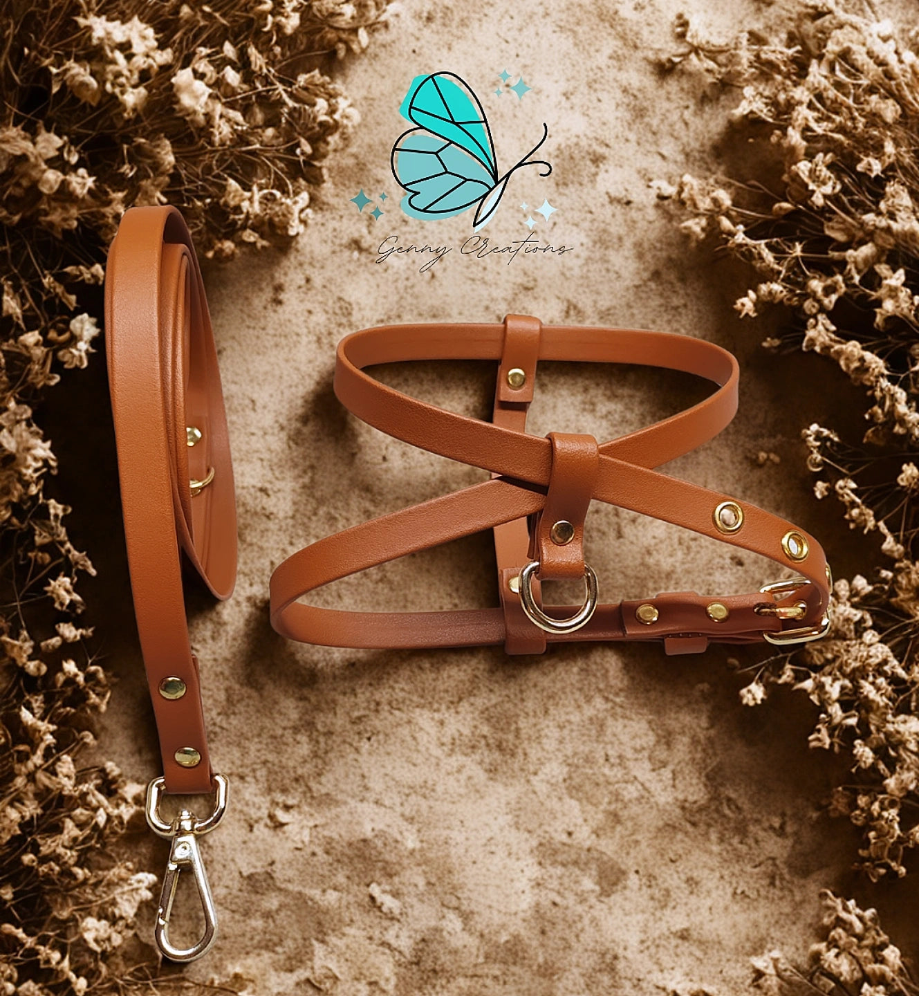 Set Pettorina in vera pelle con guinzaglio coordinato