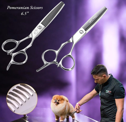 Z9 - Pomeranian scissors