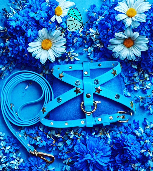Set Pettorina in vera pelle con guinzaglio coordinato
