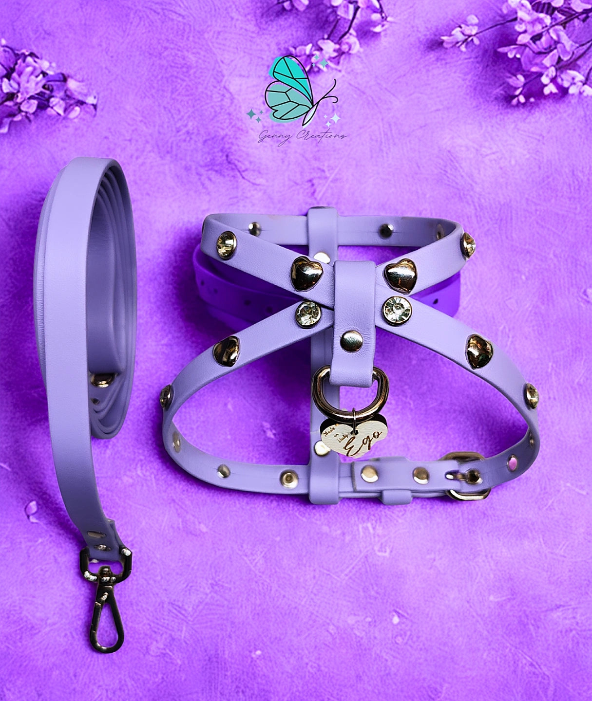 Set Pettorina in vera pelle con guinzaglio coordinato