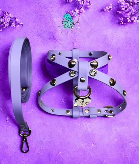 Set Pettorina in vera pelle con guinzaglio coordinato